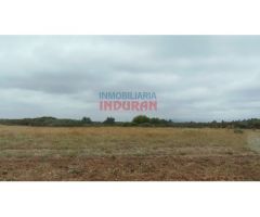 Finca rústica de 555 ha, ideal para uso cinegético y ganadero, con varios