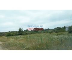 Finca rústica de 555 ha, ideal para uso cinegético y ganadero, con varios