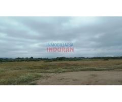 Finca rústica de 555 ha, ideal para uso cinegético y ganadero, con varios
