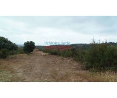 Finca rústica de 555 ha, ideal para uso cinegético y ganadero, con varios