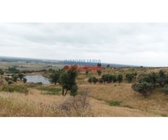 Finca rústica de 555 ha, ideal para uso cinegético y ganadero, con varios