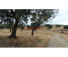 Finca rústica de 555 ha, ideal para uso cinegético y ganadero, con varios