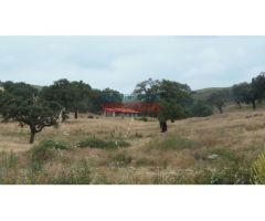 Finca rústica de 555 ha, ideal para uso cinegético y ganadero, con varios