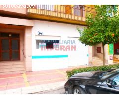 Local comercial calle Paseo de la Estación