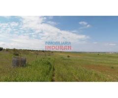 Finca de 3,3 ha con encinas, ideal para pastos, parcialmente cerrada situada en