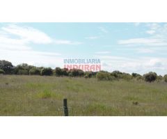 Finca de 3,3 ha con encinas, ideal para pastos, parcialmente cerrada situada en