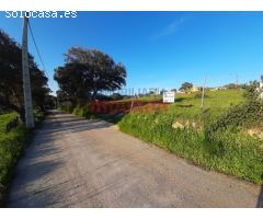 Finca rústica de 1,4 ha con construcciones, encinas, acceso asfaltado y