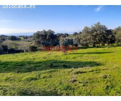 Finca rústica de 1,4 ha con construcciones, encinas, acceso asfaltado y