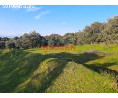 Finca rústica de 1,4 ha con construcciones, encinas, acceso asfaltado y