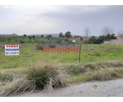 Parcela de 7500 m2, cerrada y situada junto a la urbanización Los Pinos (Belvís
