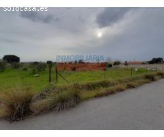 Parcela de 7500 m2, cerrada y situada junto a la urbanización Los Pinos (Belvís