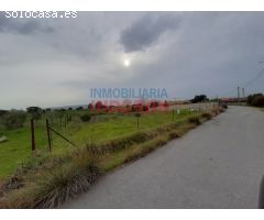 Parcela de 7500 m2, cerrada y situada junto a la urbanización Los Pinos (Belvís