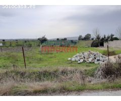 Parcela de 7500 m2, cerrada y situada junto a la urbanización Los Pinos (Belvís