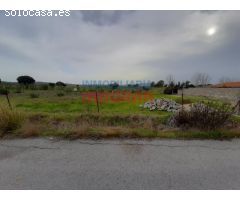 Parcela de 7500 m2, cerrada y situada junto a la urbanización Los Pinos (Belvís