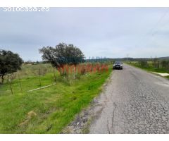 Parcela de 7500 m2, cerrada y situada junto a la urbanización Los Pinos (Belvís