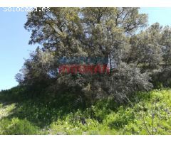 Finca rústica de 262 ha, ideal para uso cinegético, agrícola y para recreo,
