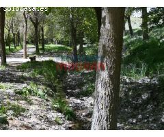 Finca rústica de 262 ha, ideal para uso cinegético, agrícola y para recreo,