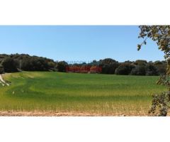 Finca rústica de 262 ha, ideal para uso cinegético, agrícola y para recreo,