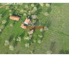 Finca de 50 ha, ideal para uso ganadero y para recreo, con una vivienda
