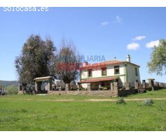 Finca de 50 ha, ideal para uso ganadero y para recreo, con una vivienda