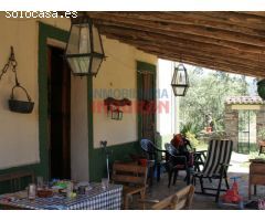 Finca de 50 ha, ideal para uso ganadero y para recreo, con una vivienda