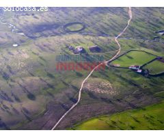 Finca de 50 ha, ideal para uso ganadero y para recreo, con una vivienda