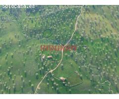 Finca de 50 ha, ideal para uso ganadero y para recreo, con una vivienda