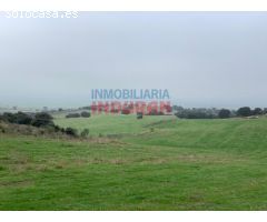 Finca rústica de 85 ha en Valdeverdeja (Toledo)