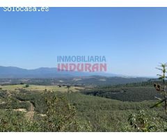 Finca rústica de 20 ha, ideal para uso cinegético, con encinas y jaras situada