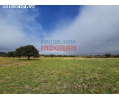 Finca rústica de 10,5 ha situada en el término municipal de Valdelacasa de Tajo