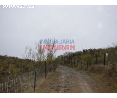 Finca ganadera de 45 ha en Valdelacasa de Tajo, Cáceres