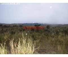 Finca ganadera de 45 ha en Valdelacasa de Tajo, Cáceres