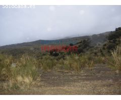 Finca ganadera de 45 ha en Valdelacasa de Tajo, Cáceres