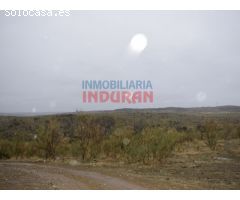 Finca ganadera de 45 ha en Valdelacasa de Tajo, Cáceres
