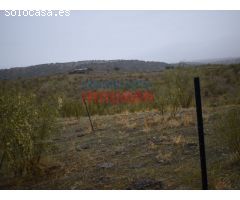 Finca ganadera de 45 ha en Valdelacasa de Tajo, Cáceres