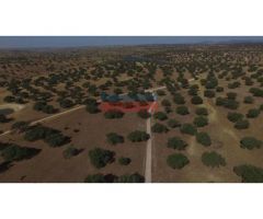 Finca con denominación de origen Dehesa de Extremadura, con naves para uso