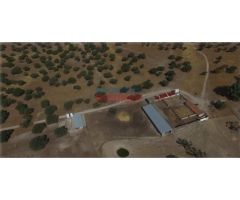 Finca con denominación de origen Dehesa de Extremadura, con naves para uso