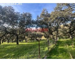 ¡Finca Rústica en Valdecañas de Tajo, Cáceres!