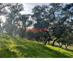 ¡Finca Rústica en Valdecañas de Tajo, Cáceres!