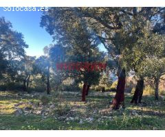 Finca rústica cinegética en Castañar de Ibor, Cáceres