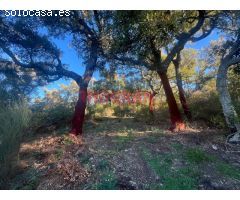 Finca rústica cinegética en Castañar de Ibor, Cáceres