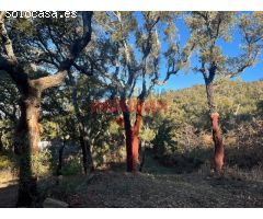 Finca rústica cinegética en Castañar de Ibor, Cáceres