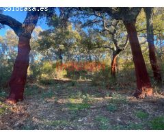 Finca rústica cinegética en Castañar de Ibor, Cáceres