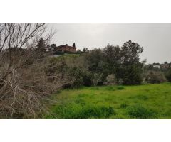 PARCELA con PROYECTO ARQUITECTÓNICO y LICENCIA concedida en el ENTORNO NATURAL