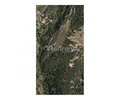 SE VENDE PARCELA DE MAS DE 26.000M2 EN FINESTRAT