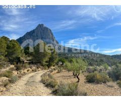 SE VENDE PARCELA DE MAS DE 26.000M2 EN FINESTRAT
