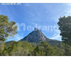 SE VENDE PARCELA DE MAS DE 26.000M2 EN FINESTRAT