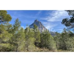 SE VENDE PARCELA DE MAS DE 26.000M2 EN FINESTRAT