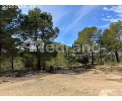 SE VENDE PARCELA DE MAS DE 26.000M2 EN FINESTRAT