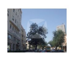 LOCAL ADAPTADO EN VENTA CON PLANTA BAJA Y SEMISOTANO. ZONA CENTRO.